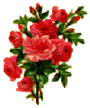 Flower border 7.gif